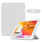 Gray / iPad Air 11 inch M2
