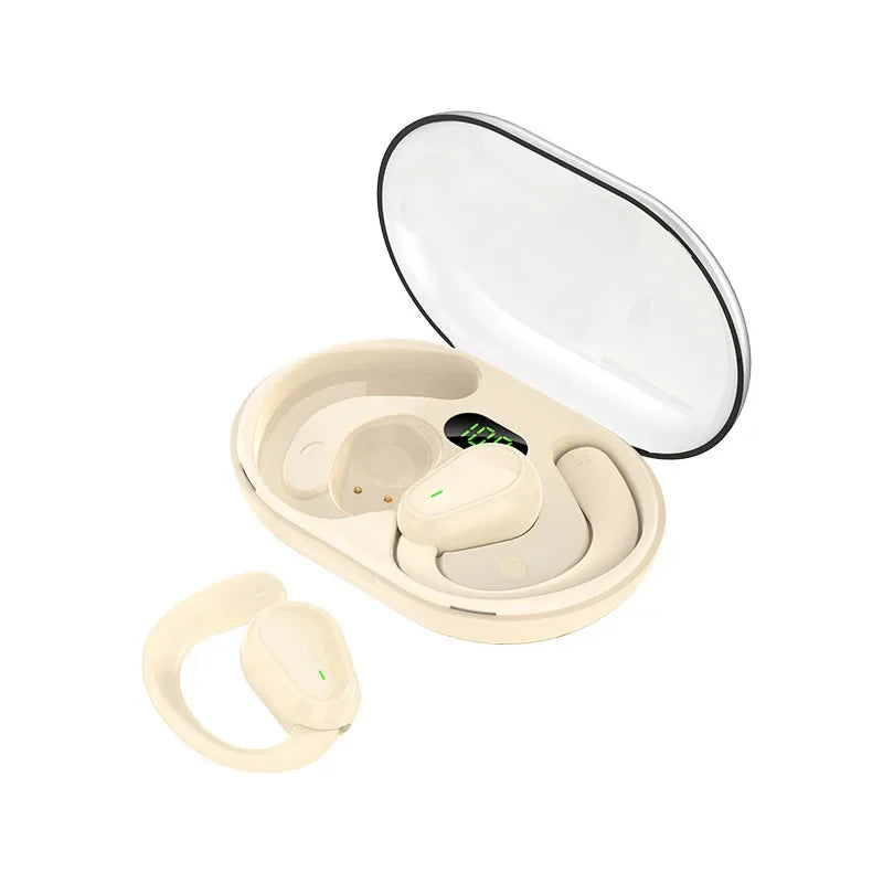 Noise Cancelling Earbuds